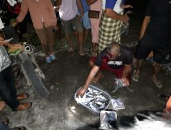 Fenomena Naiknya Ratusan Ikan Diperairan Kolut, Warga : Air Laut Tiba-tiba Surut