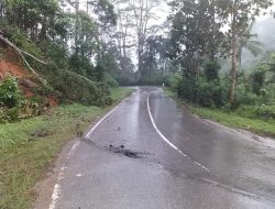 Peringatan! Jalur Trans Sulawesi di Mowewe Terancam Amblas