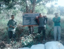 Reboisasi Penanaman Intensif di Koltim Diduga Bermasalah