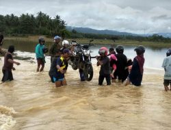 20 Ha sawah di Lalembuu, Terancam Gagal Panen Akibat Banjir