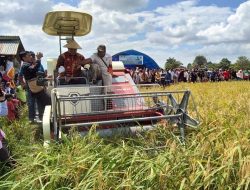 Panen Padi Perdana 40 H, Bupati Muna Janji Lengkapi Fasilitas