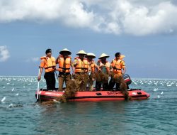 Hadiri Panen Raya, Bupati Wakatobi Suport Petani Rumput Laut