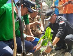 Wabup Kolut Ancam Petani, Bakal Tarik Bantuan Bibit Kakao