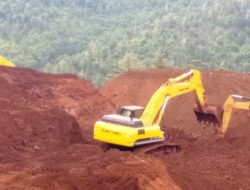 PT TMM di Kolut Semakin Berulah, Tanaman Perkebunan Warga Dirusak