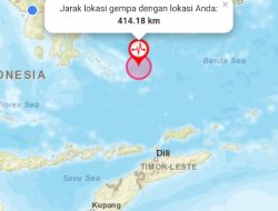 Gempa Bumi 5,5 Magnitudo Guncang Wakatobi