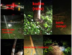 Full Time PLN Muna Tangani Sembilan Jaringan Akibat Cuaca Ekstrim