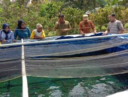 Wabup Konawe Hadiri Panen Ikan lele