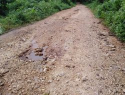 Jalan ke Pesantren 10 Tahun Tidak Terurus, GP Ansor Baubau Bakal Sambangi Pemkot