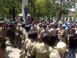 Halau Demo, Satpol-PP Dihadiahi Telur Busuk