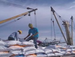 Jagan Panik, Dua Hari Lagi 500 Ton Beras Masuk di Muna