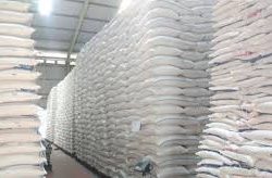 Tekan Efek Kepanikan Covid-19, Polres Muna Awasi Kenaikan Harga Beras