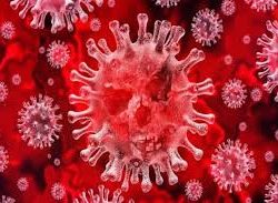 7 Positif Covid-19, Pemda Muna Karantina Wilayah di Zona Merah