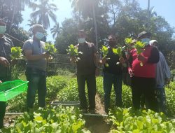 Wakil Bupati Konawe, Apresiasi KWT Flamboyan Desa Toronipa