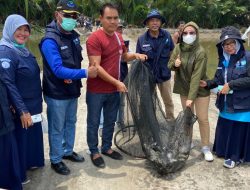 Demplot Budidaya Ikan Air Tawar Desa Lalonggombuno Panen 1,6 Ton Ikan Nila