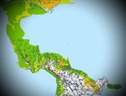 Menunggu Usulan, Desa Di Anggotoa Harus Kembali Ke Desa Induk