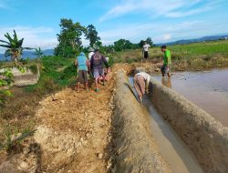Bangun Tersier, Wujud Warga Desa Puundombi Ikut Serta Sukseskan Program Pemerintah