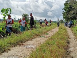 Tingkatkan Ekonomi Hingga Lapangan Kerja Warga, Kades Momea Genjot PKTD Infrastruktur Didesa.