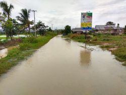 Akibat Tanggul jebol, Ratusan Hektar Sawah Didesa Anggoro Terendam Air