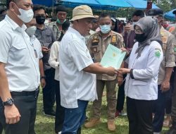Bupati Konawe Serahkan 217 Sertifikat Tanah Program PTSL