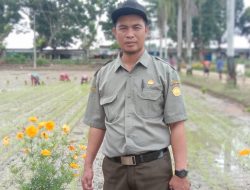 Tekan Pemakaian Pupuk Kimia, Kepala Balitbang Konawe Imbau Petani Tanam Refugia