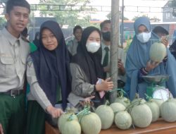 Siswa SPP Wawotobi, Kembangkan ayam Probiotik