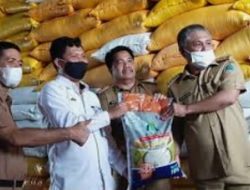 Bulog Unaaha Serap 5000 Ton Beras Petani Lokal