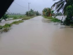 Anggoro Diterjang Banjir, BPBD Konawe assessment Lokasi Banjir