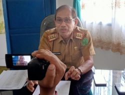 Gantikan pohon trembesi, 2 Ribu Ketapang Kencana Bakal Hiasi Jalan Kota Unaaha