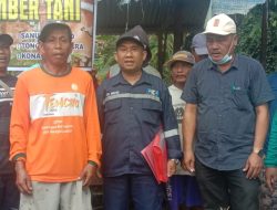 Fachri Palevi Konggoasa, Salurkan Bantuan Bibit Sapi Di Desa Sanuanggamo