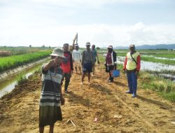 Kadin Konawe Peduli, Yusran Akbar Bantu Perbaikan Jalan 1 Km Desa Anggohu Tongauna Utara