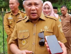 Sektor Industri Penyumbang Tertinggi PDRB Konawe