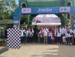 Ribuan Peserta Jalan Sehat Meriahkan HUT BUMN ke-25