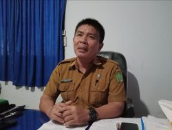 Disnakeswan Sebut Stok Hewan Qurban Di Konawe Aman