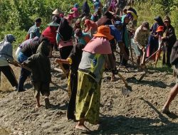 Pemdes Barowila Lakukan Peningkatan Infrastruktur Jalan Bagi Warga