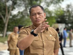 Pemkab Konawe Bakal Cabut Izin Alfamidi dan Indomaret Area STQ