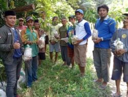 Pemdes Matahoari Kembangkan Agrowisata, Tanam Ribuan Bibit Durian dan Rambutan