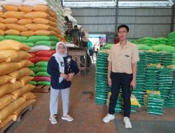 Tinjau Penyerapan Beras. Kakanwil Perum Bulog Sultra : Konawe Andalan Utama