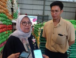 Bulog Sulawesi Tenggara Targetkan Penyerapan 10 Ribu Ton Beras Petani pada Tahun 2024