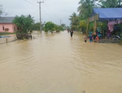 Banjir Melanda Desa Nambeaboru, 221 KK Dan 367 Ha Sawah Kena Dampak