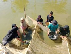 SMKN 1 Bungku Selatan Asah Keterampilan di UPTD BBI Abeli Sawah, Siap Jadi Generasi Penerus Industri Perikanan Konawe