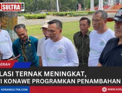 Populasi Ternak Meningkat, Bupati Konawe Programkan Penambahan RPH