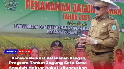 Konawe Perkuat Ketahanan Pangan, Program Tanam Jagung Satu Desa Sepuluh Hektar Bakal Diluncurkan