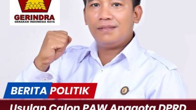 Usulan Calon PAW Anggota DPRD Gerindra Konawe Diprotes, Hendryawan: Kami Anggap TMS